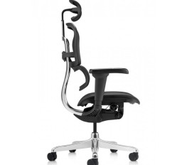 Scaun Ergohuman 2 Ultra 30.12.92, spatar reglabil, tetiera reglabila 2D, suport lombar